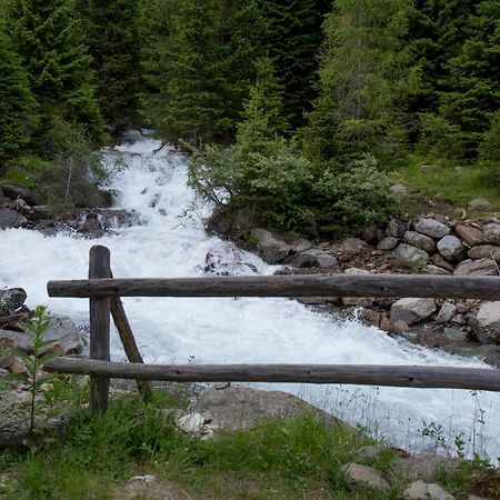 Вілла Chalet Bambi Раббі Екстер'єр фото