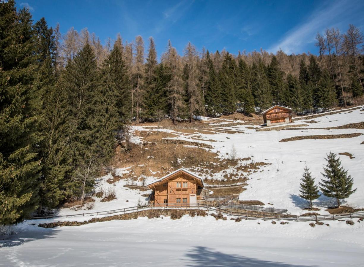 Вілла Chalet Bambi Раббі Екстер'єр фото