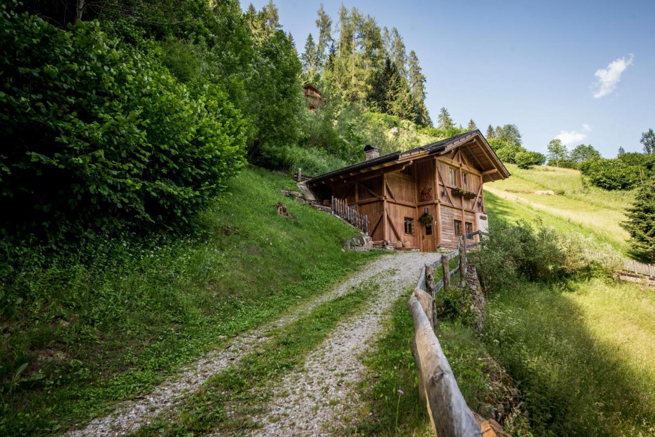 Вілла Chalet Bambi Раббі Екстер'єр фото