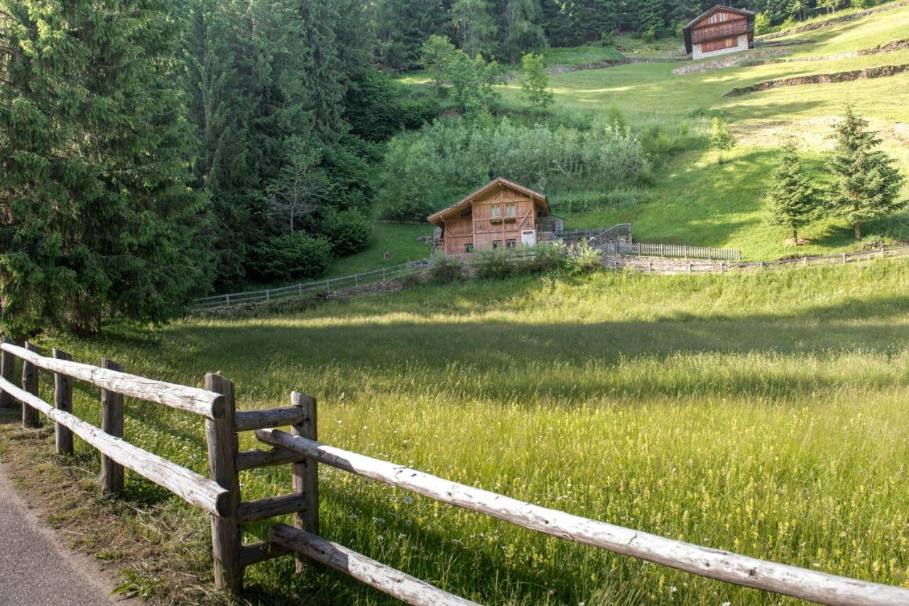 Вілла Chalet Bambi Раббі Екстер'єр фото