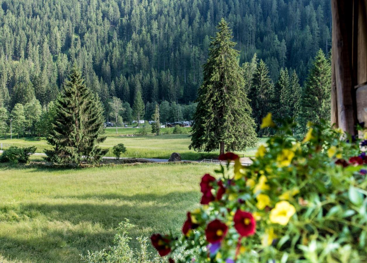 Вілла Chalet Bambi Раббі Екстер'єр фото