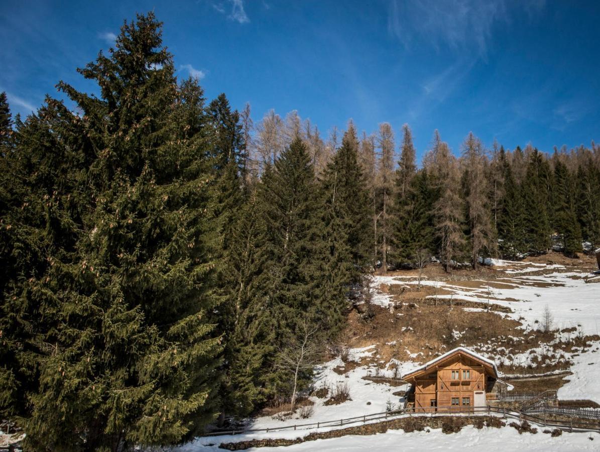 Вілла Chalet Bambi Раббі Екстер'єр фото