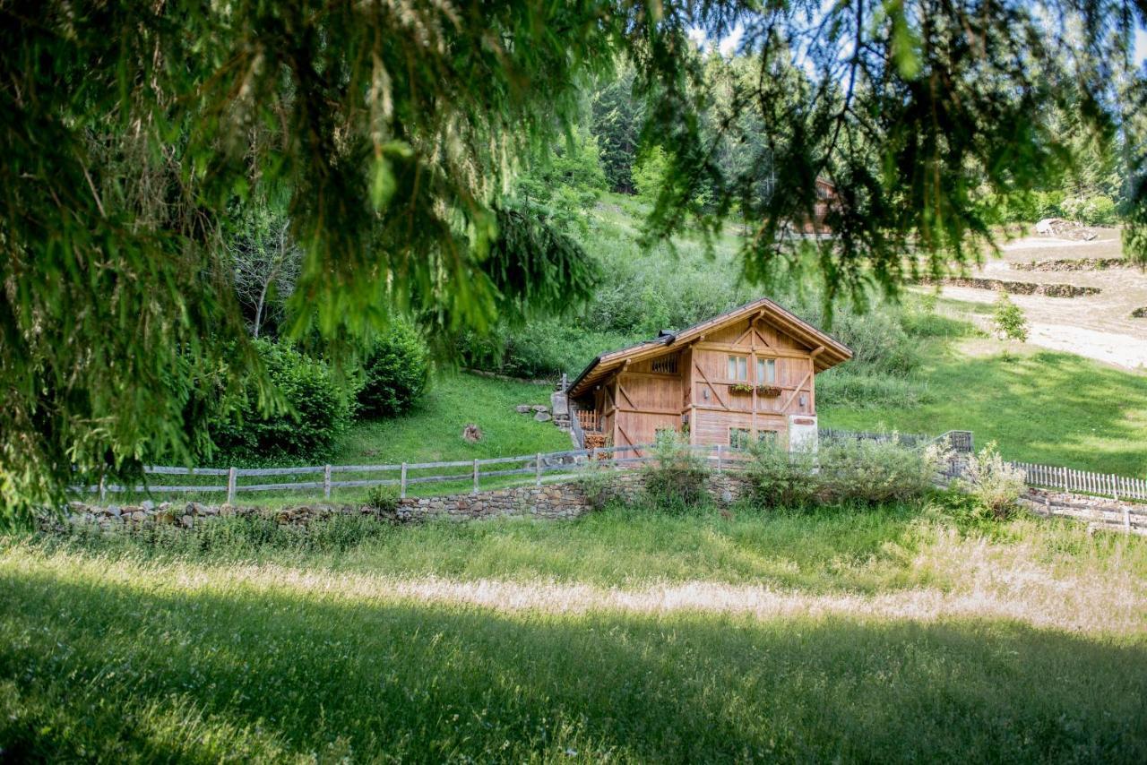 Вілла Chalet Bambi Раббі Екстер'єр фото