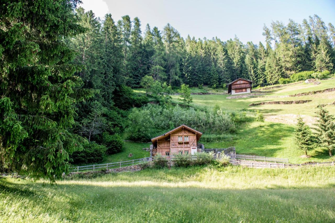 Вілла Chalet Bambi Раббі Екстер'єр фото